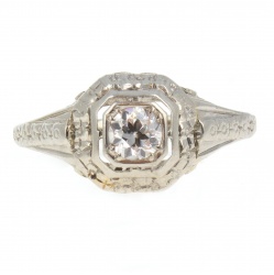 145156_-_straight_on