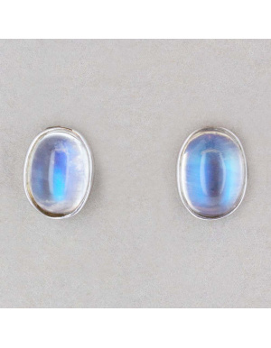 152956_-_straight_on